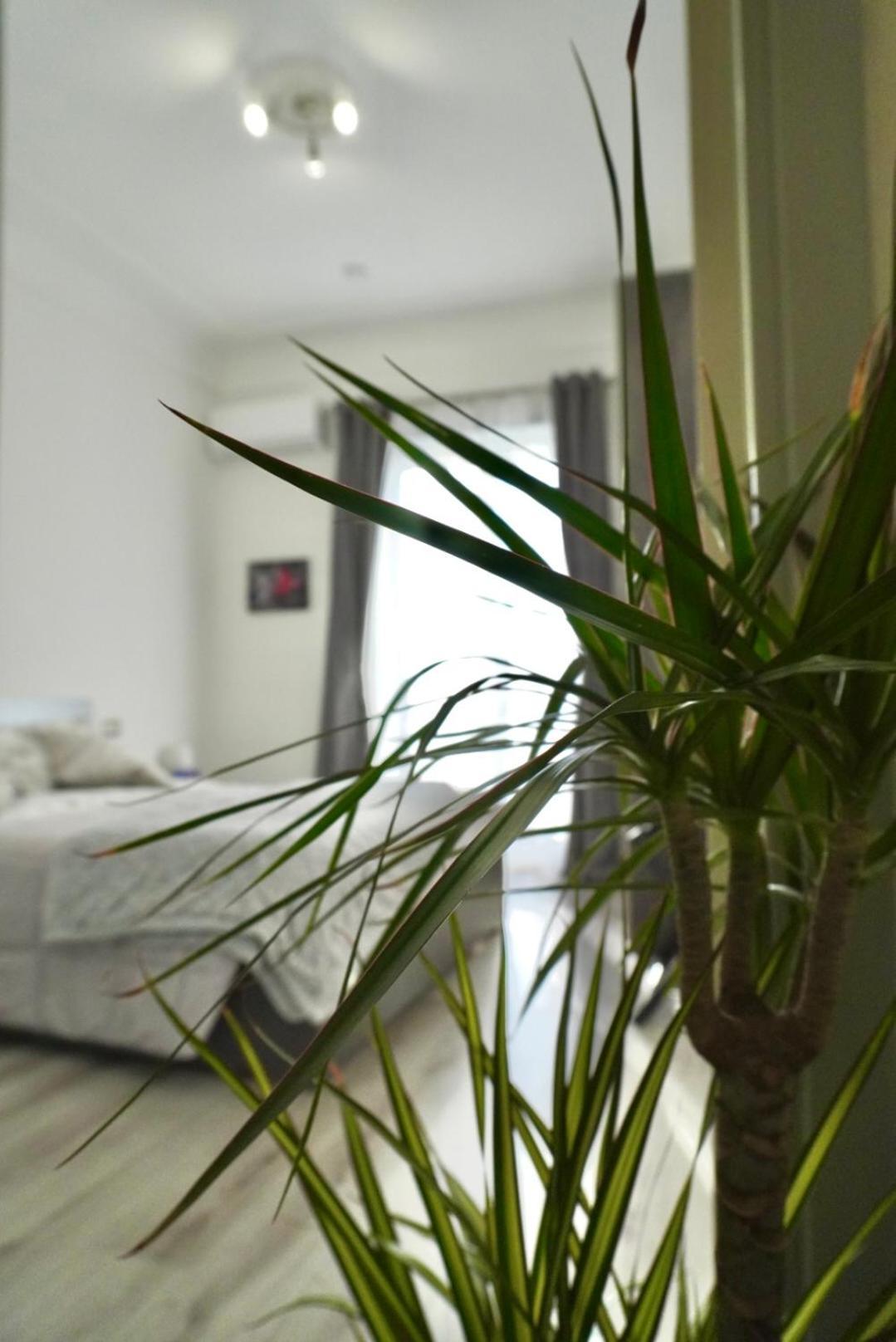 B&B Il Rio Anacapri  Extérieur photo